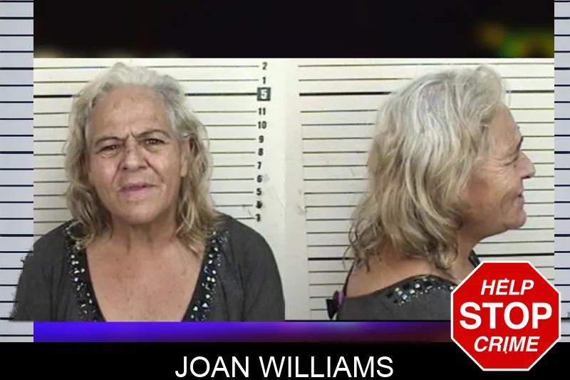 Joan Williams mugshot