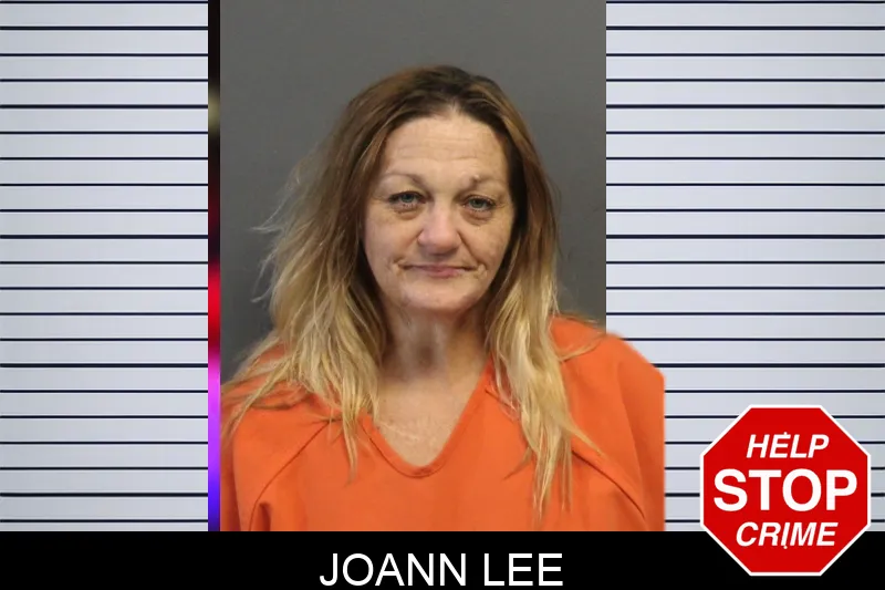 Joann Lee mugshot