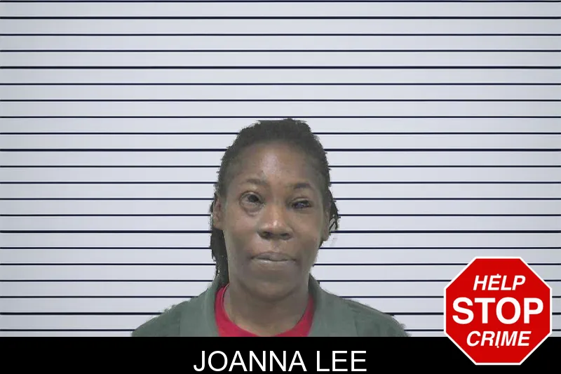 Joanna Lee mugshot