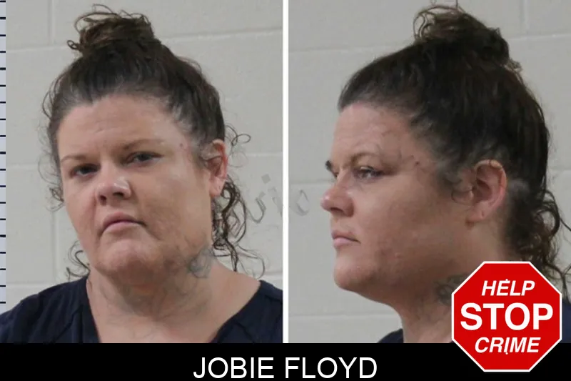 Jobie Floyd mugshot – Houston County , Georgia Jobie Floyd mugshot