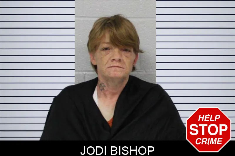 Jodi Bishop mugshot
