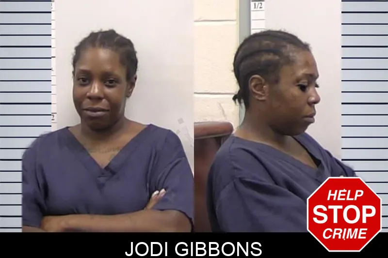Jodi Gibbons mugshot