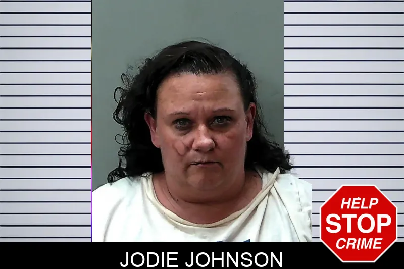 Jodie Johnson mugshot