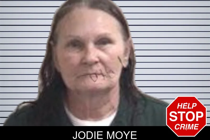Jodie Moye mugshot – Henry County , Georgia Jodie Moye mugshot