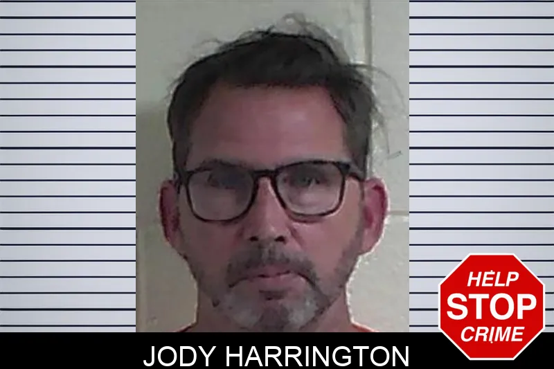 Jody Harrington mugshot – Fannin County , Georgia Jody Harrington mugshot