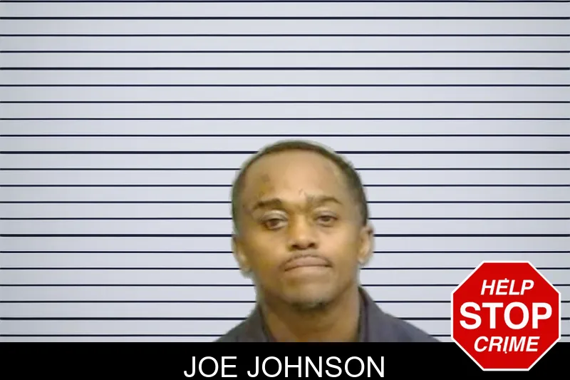 Joe Johnson mugshot
