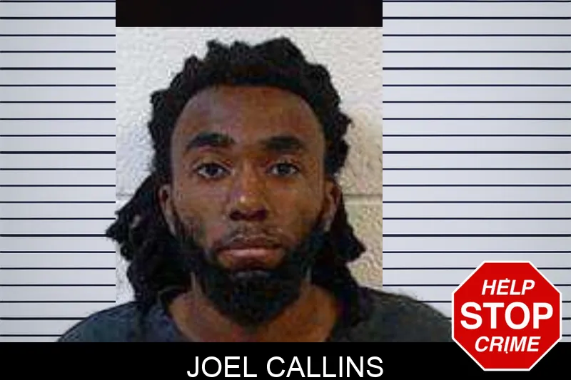 Joel Callins mugshot – Polk County , Georgia Joel Callins mugshot