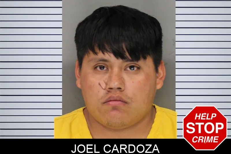 Joel Cardoza mugshot
