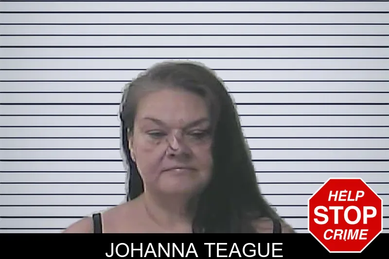 Johanna Teague mugshot