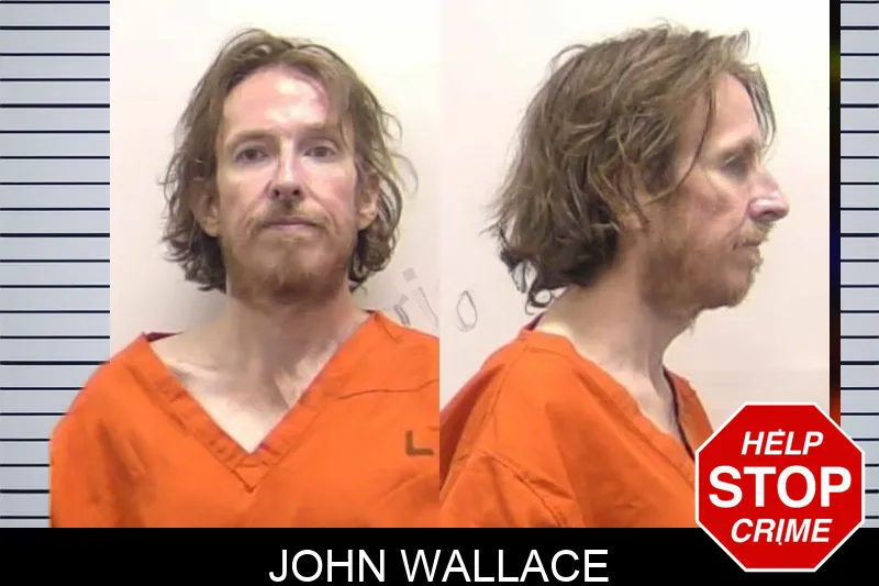 John Wallace mugshot