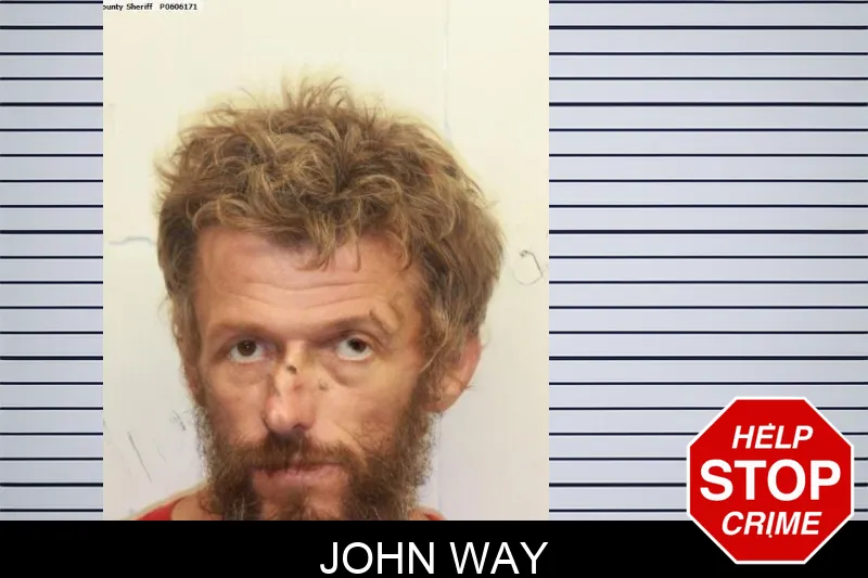 John Way mugshot – Chatham County , Georgia John Way mugshot