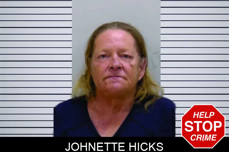 Johnette Hicks mugshot