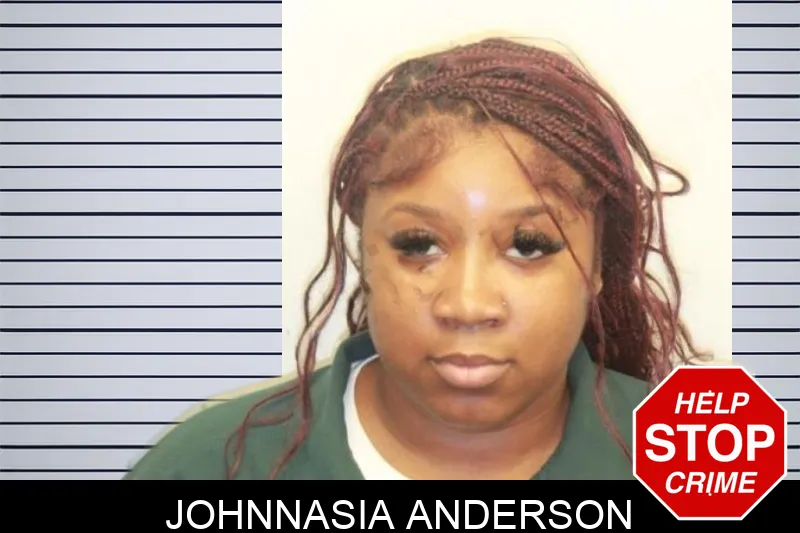 Johnnasia Anderson mugshot – Chatham County , Georgia Johnnasia Anderson mugshot