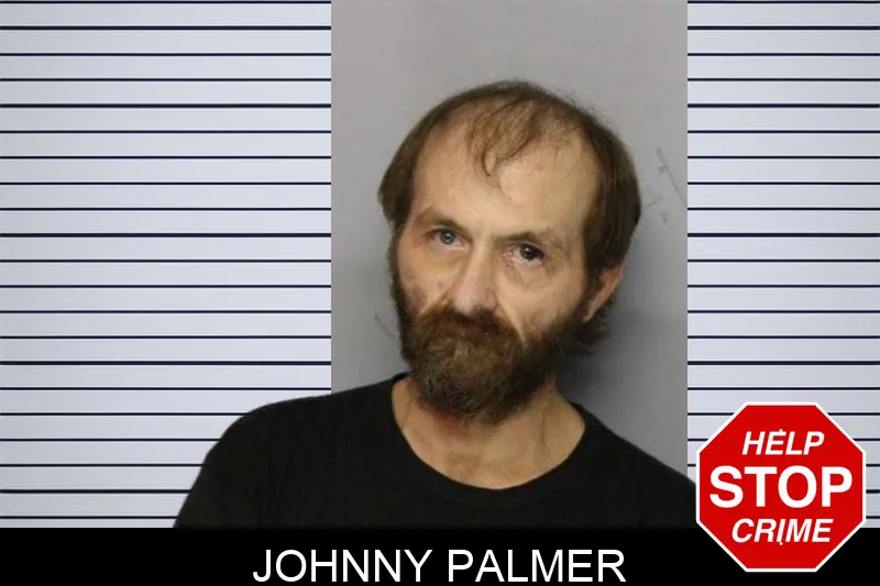 Johnny Palmer mugshot