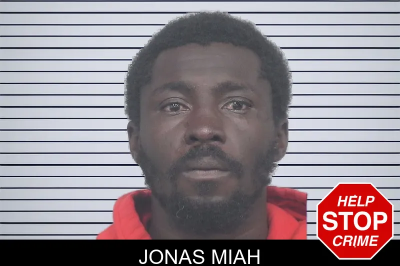 Jonas Miah mugshot