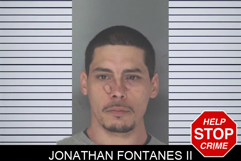 Jonathan Fontanes II mugshot