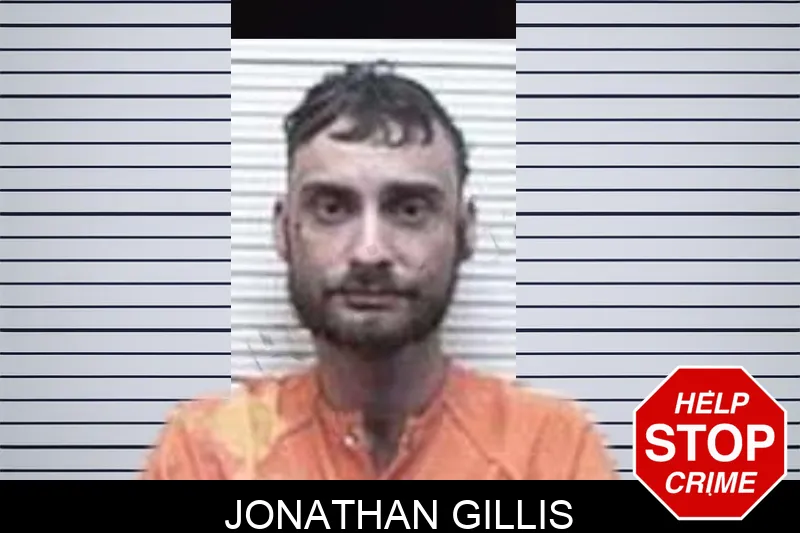 Jonathan Gillis mugshot – Tattnall County , Georgia Jonathan Gillis mugshot