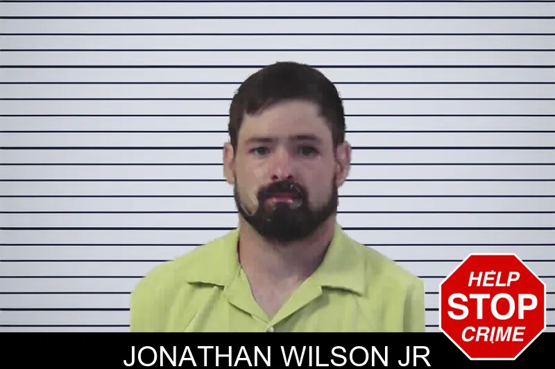 Jonathan Wilson Jr mugshot