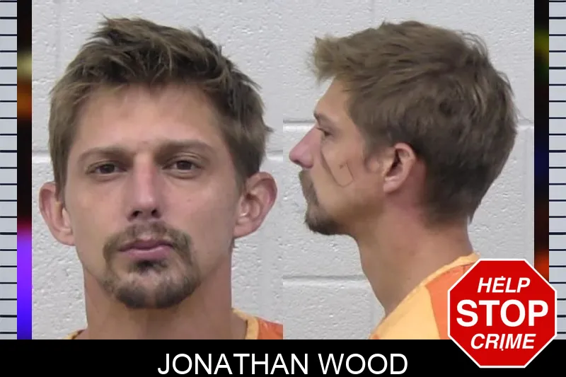Jonathan Wood mugshot – Paulding County , Georgia Jonathan Wood mugshot