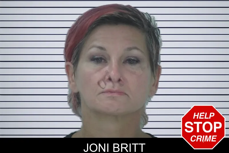 Joni Britt mugshot