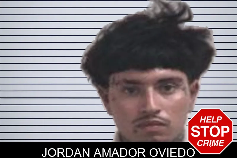 Jordan Amador Oviedo mugshot – Henry County , Georgia Jordan Amador Oviedo mugshot