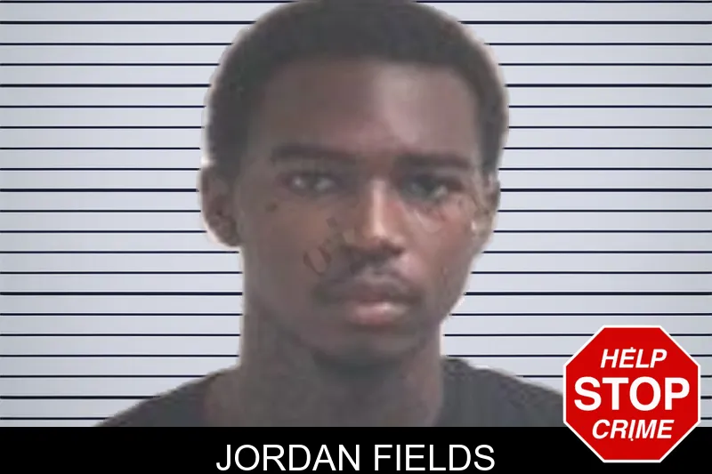 Jordan Fields mugshot