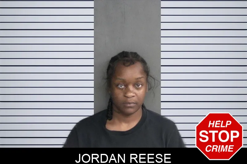 Jordan Reese mugshot – Twiggs County , Georgia Jordan Reese mugshot