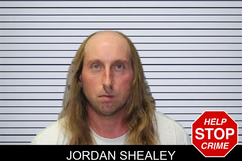Jordan Shealey mugshot