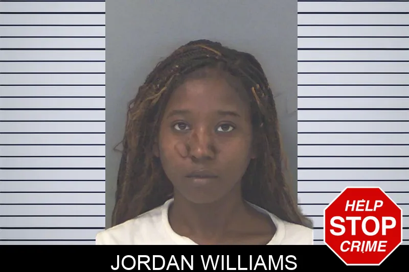 Jordan Williams mugshot