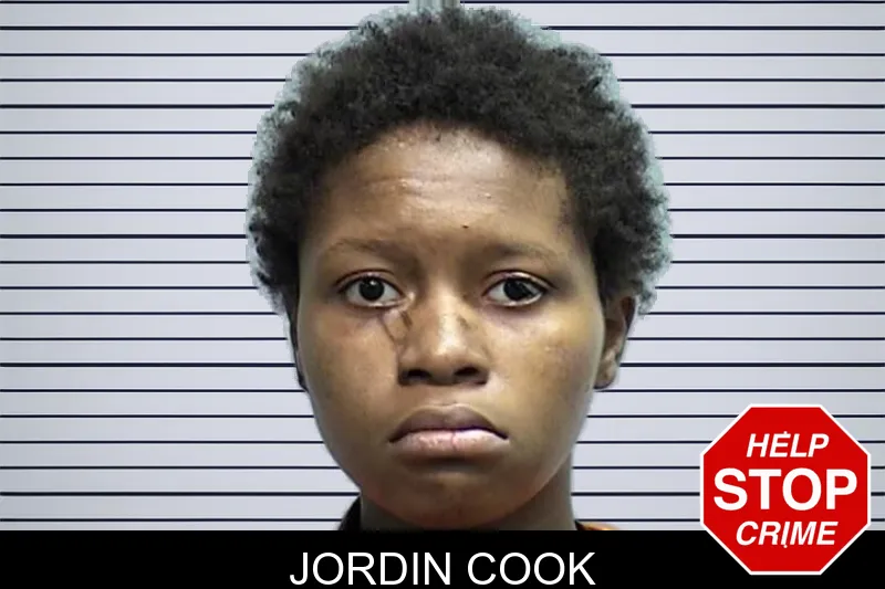 Jordin Cook mugshot – Effingham County , Georgia Jordin Cook mugshot