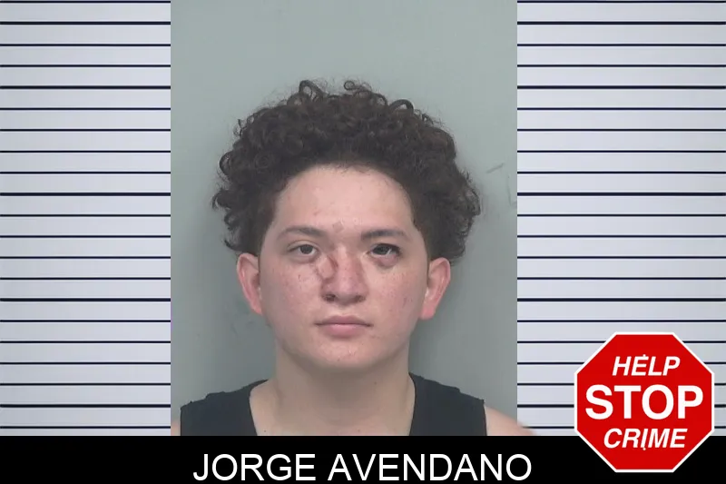 Jorge Avendano mugshot – Gwinnett County , Georgia Jorge Avendano mugshot