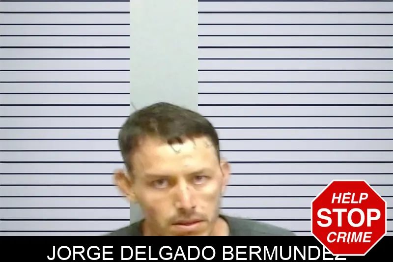 Jorge Delgado Bermundez mugshot