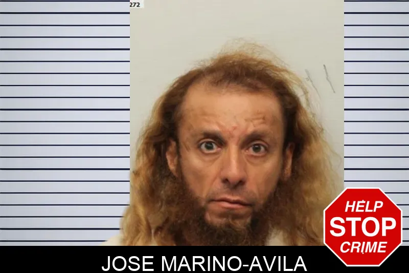 Jose Marino-Avila mugshot