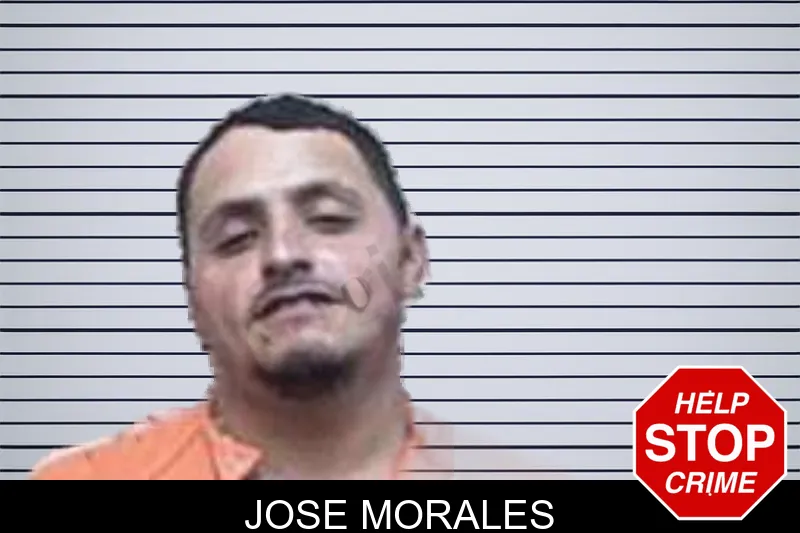 Jose Morales mugshot