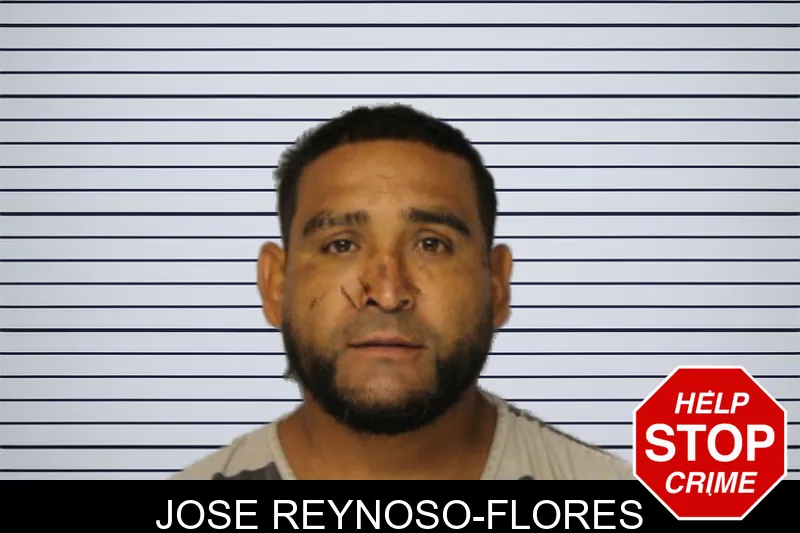 Jose Reynoso-Flores mugshot – Hall County , Georgia Jose Reynoso-Flores mugshot