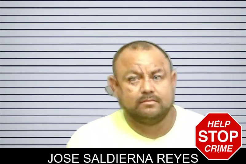 Jose Saldierna Reyes mugshot