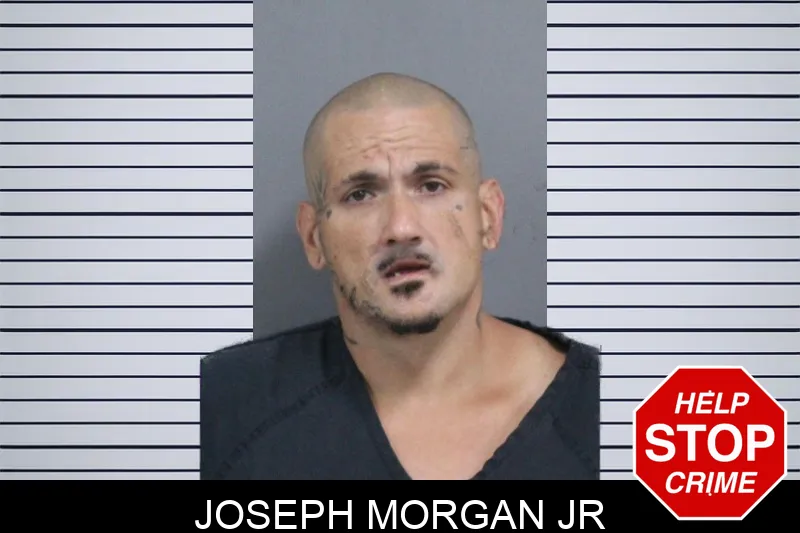 Joseph Morgan Jr mugshot