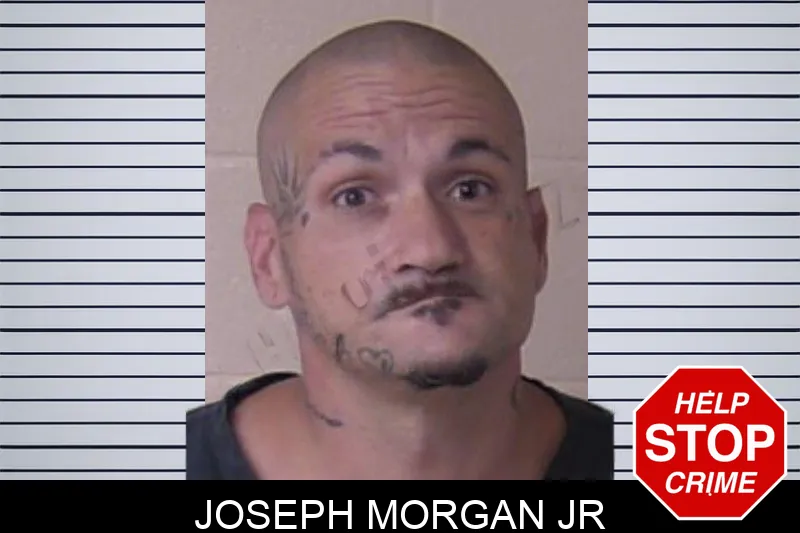 Joseph Morgan Jr mugshot – Walker County , Georgia Joseph Morgan Jr mugshot