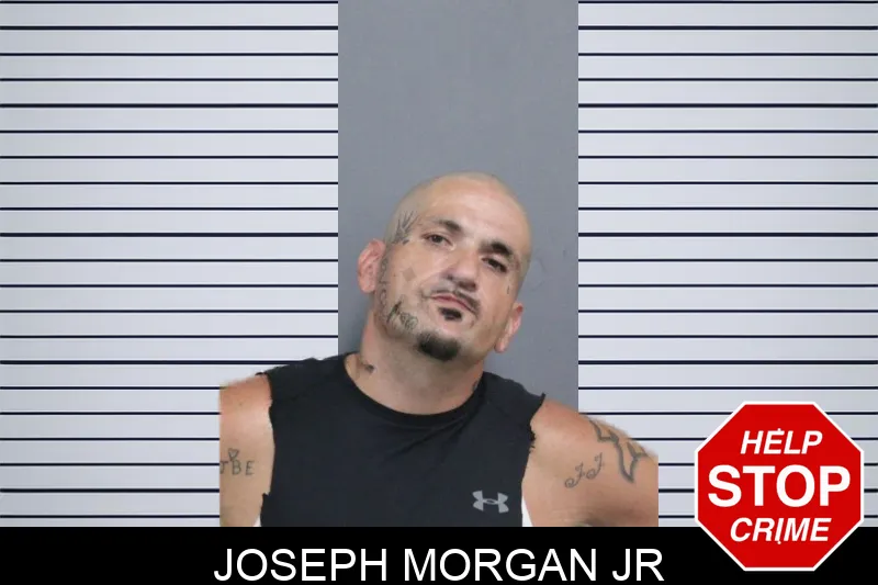 Joseph Morgan Jr mugshot