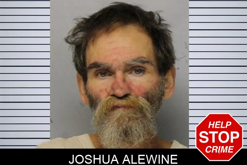 Joshua Alewine mugshot