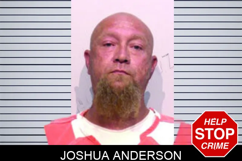 Joshua Anderson mugshot – Bartow County , Georgia Joshua Anderson mugshot