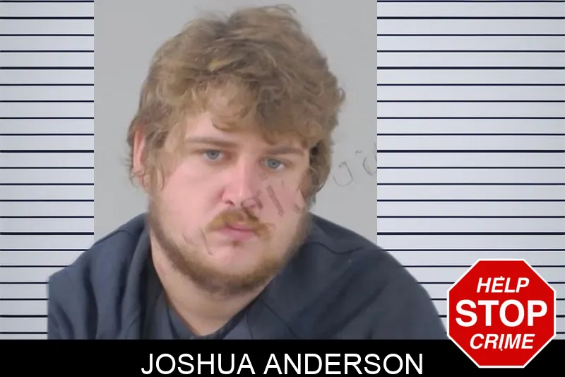 Joshua Anderson mugshot – Lowndes County , Georgia Joshua Anderson mugshot