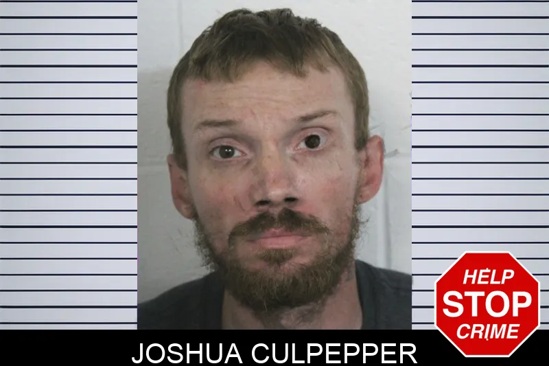 Joshua Culpepper mugshot