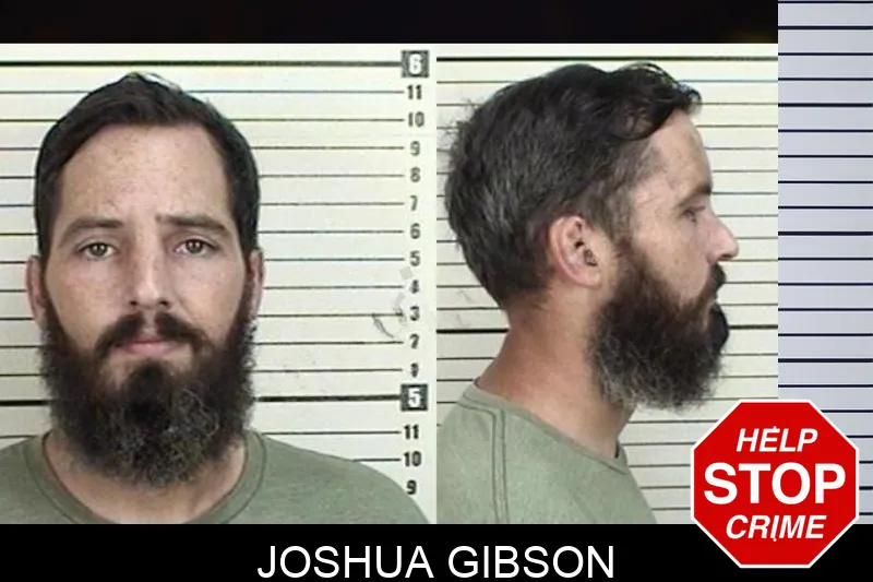 Joshua Gibson mugshot – Camden County , Georgia Joshua Gibson mugshot