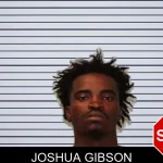 Joshua Gibson mugshot