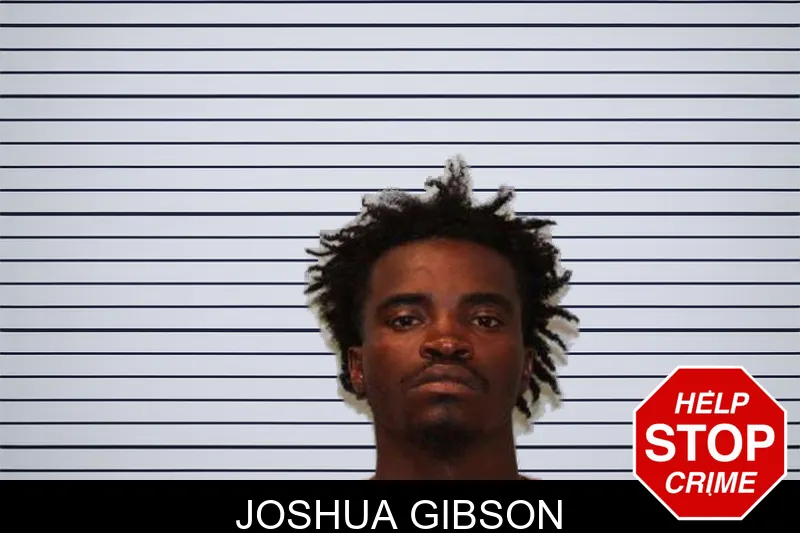Joshua Gibson mugshot