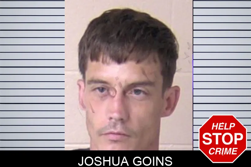 Joshua Goins mugshot