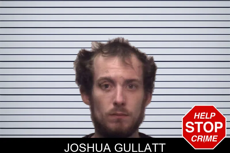 Joshua Gullatt mugshot