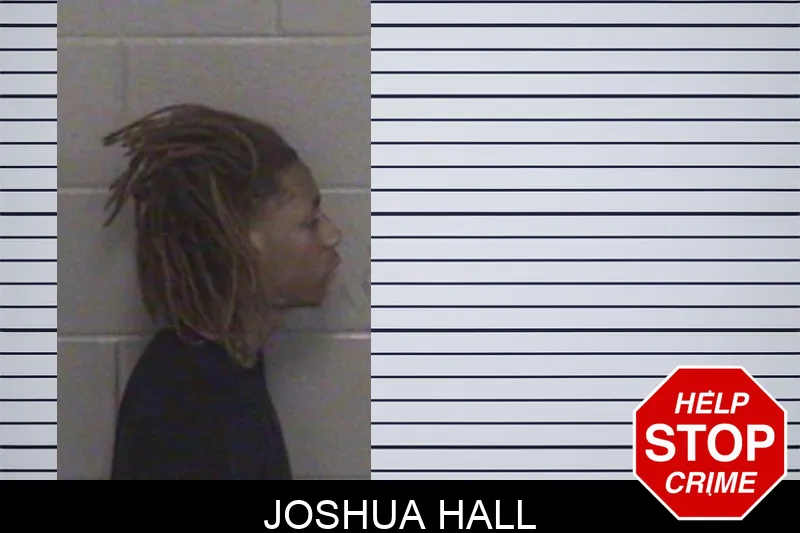 Joshua Hall mugshot
