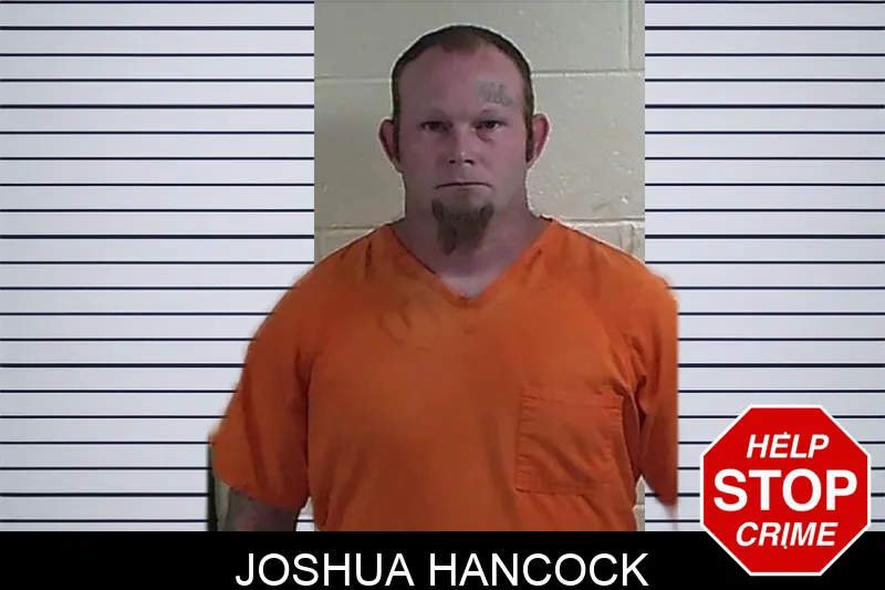 Joshua Hancock mugshot – Fannin County , Georgia Joshua Hancock mugshot